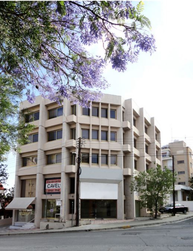 Commercial Building For Sale in Nicosia