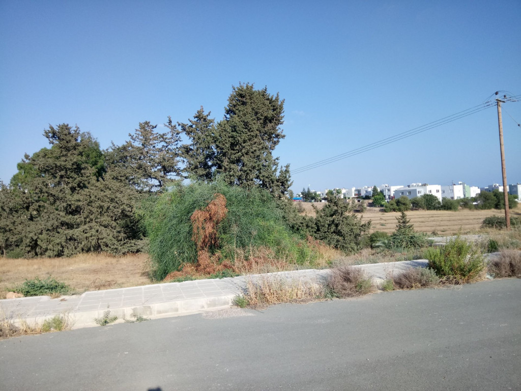 Plot for Sale in Pafos
